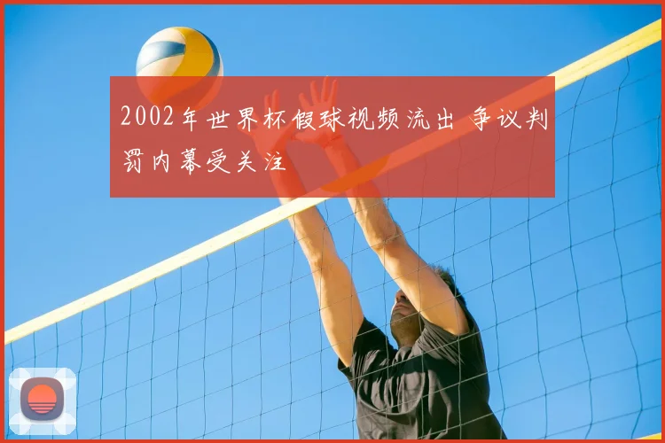 2002年世界杯假球视频流出 争议判罚内幕受关注