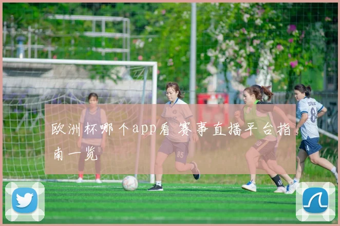 欧洲杯哪个app看 赛事直播平台指南一览