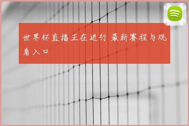 世界杯直播正在进行 最新赛程与观看入口