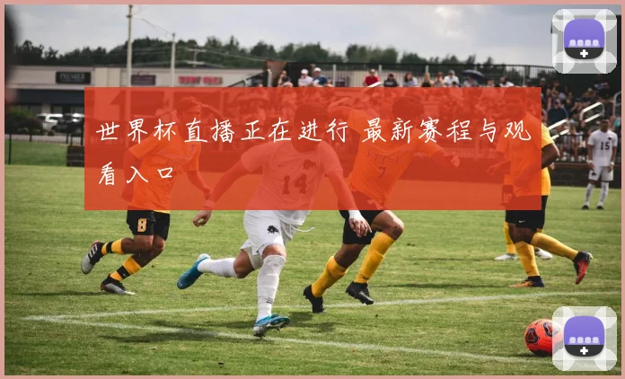 世界杯直播正在进行 最新赛程与观看入口