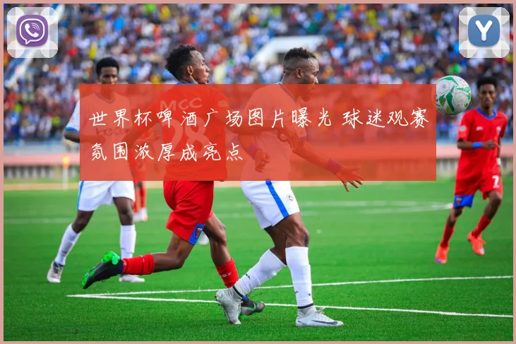 世界杯啤酒广场图片曝光 球迷观赛氛围浓厚成亮点