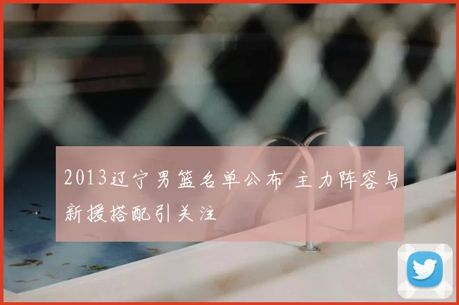 2013辽宁男篮名单公布 主力阵容与新援搭配引关注