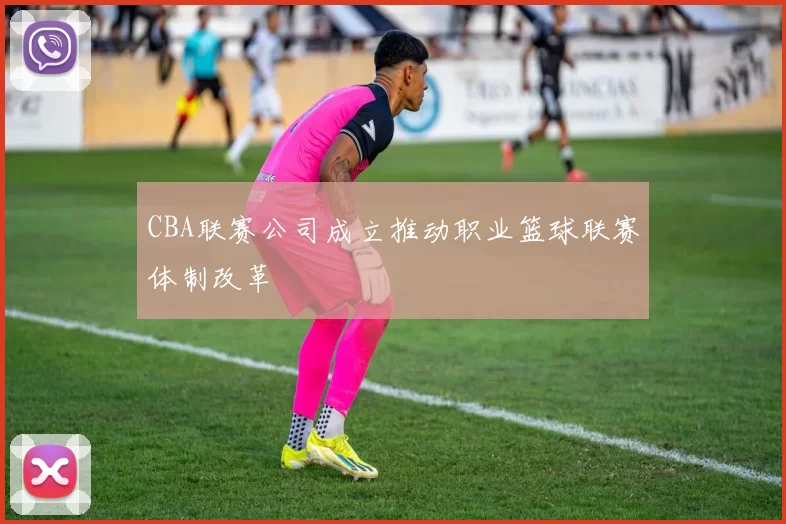 CBA联赛公司成立推动职业篮球联赛体制改革