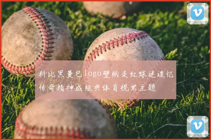 科比黑曼巴logo壁纸走红球迷追忆传奇精神成经典体育视觉主题