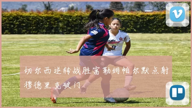 切尔西逆转战胜富勒姆帕尔默点射穆德里克破门