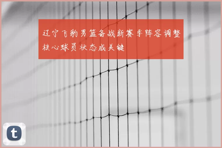 辽宁飞豹男篮备战新赛季阵容调整核心球员状态成关键
