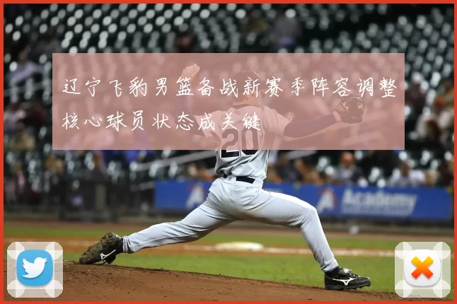 辽宁飞豹男篮备战新赛季阵容调整核心球员状态成关键